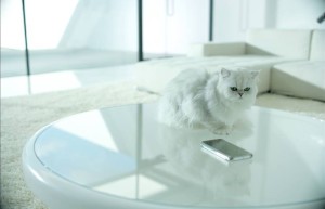 Фото 3. Столик Pebble в рекламе Samsung Galaxy